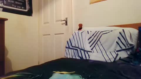 Snapshot of logmog chatting on 19, 12, 2024 Logmog online show from 19, 12, 2024