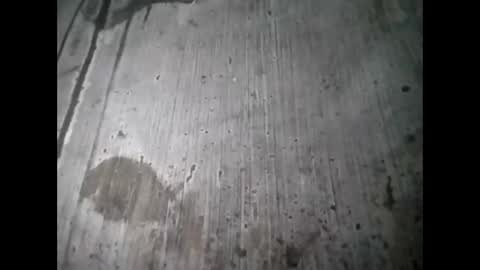 tey online show from 12, 9, 2025