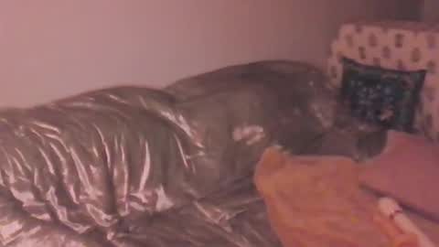 Snapshot of lolapeach222 chatting on 20, 3, 2026 Lola Peach xo online show from 20, 3, 2026