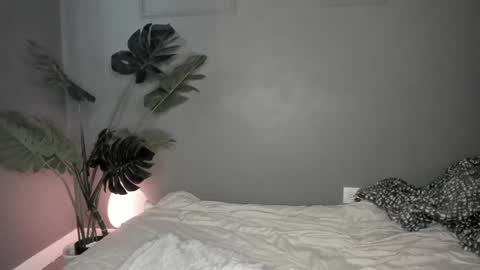 Snapshot of lonelly_lolly98 chatting on 26, 2, 2025 SABRINA online show from 26, 2, 2025