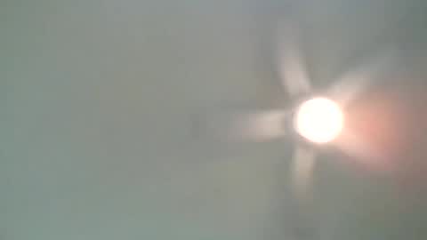 long1969dong online show from 21, 2, 2025