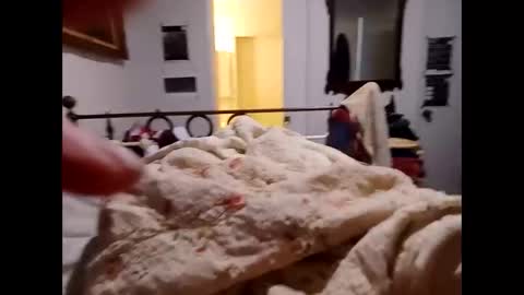 longarchrrr online show from 16, 10, 2025