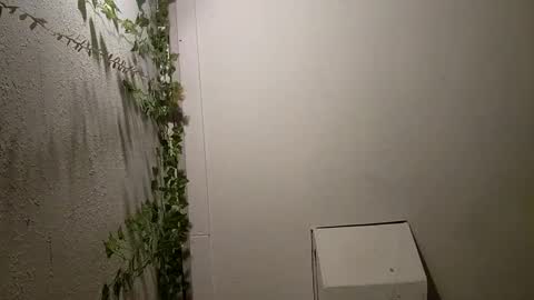 Snapshot of longdick3587 chatting on 17, 2, 2025 longdick3587 online show from 17, 2, 2025