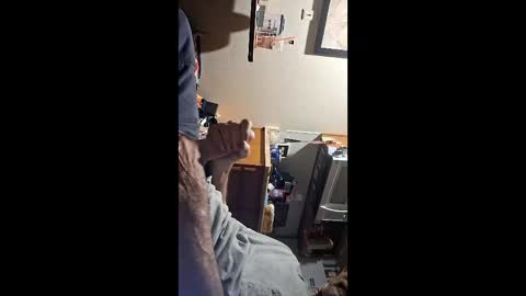 longrod17206766930 online show from 17, 5, 2026