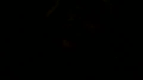 loose565 online show from 23, 2, 2026