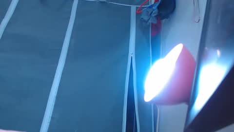 lorenferriso_1 online show from 10, 3, 2026