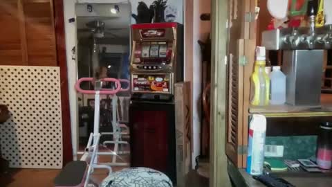 Snapshot of lorikane chatting on 7, 1, 2026 Lorelai Kane online show from 7, 1, 2026