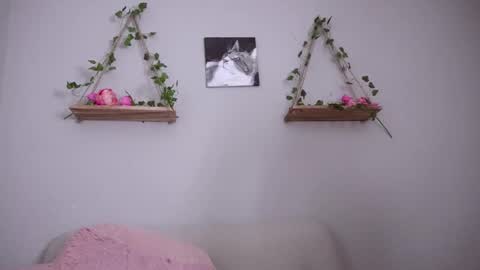 katalina   online show from 2, 3, 2025