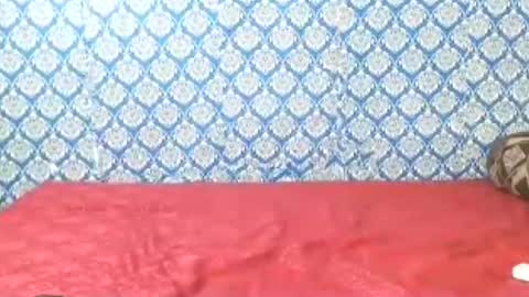 Divya online show from 22, 7, 2026