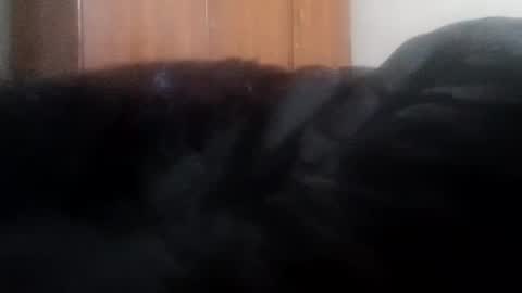 katrina follow me guys online show from 1, 1, 2025