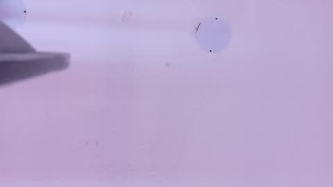 L O V E  online show from 21, 4, 2026