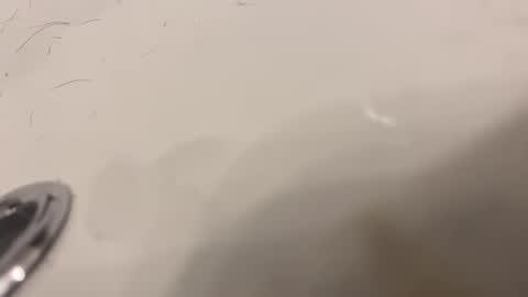 Snapshot of lovetoplayinmnwithu chatting on 30, 1, 2025 lovetoplayinmnwithu online show from 30, 1, 2025