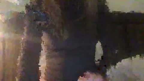 lozivelle online show from 12, 11, 2025