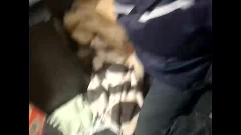 Lshot D online show from 28, 11, 2025