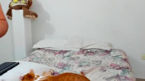 luara__01__lecat_1 online show from 11, 2, 2026