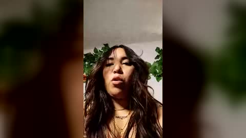 Dani 3 online show from 21, 6, 2026