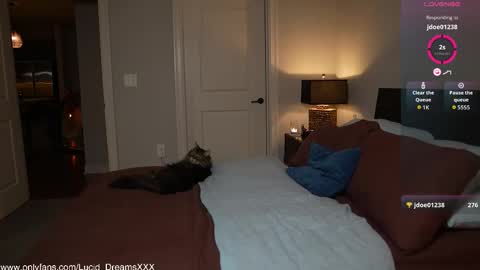 Snapshot of lucid_dreamsxxx chatting on 15, 10, 2025 Lucid Lu online show from 15, 10, 2025