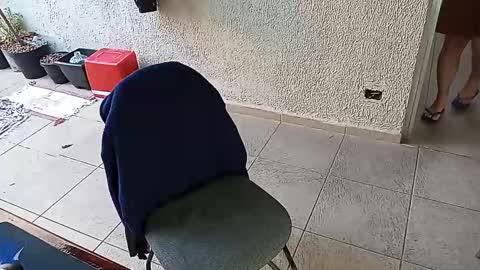 Snapshot of lucifer_curious chatting on 24, 10, 2025 lucifer_curious online show from 24, 10, 2025