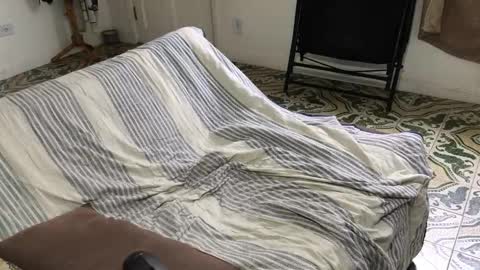 Snapshot of lucifer_curious chatting on 8, 11, 2025 lucifer_curious online show from 8, 11, 2025