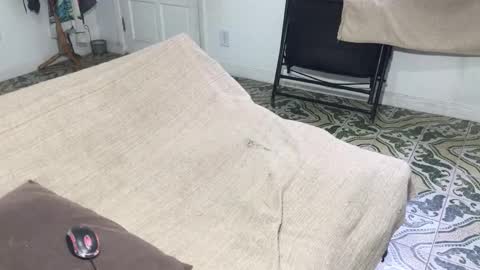 Snapshot of lucifer_curious chatting on 5, 1, 2026 lucifer_curious online show from 5, 1, 2026