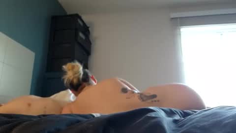 luckilyfound33 online show from 12, 3, 2026