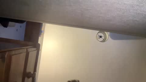 Snapshot of lukeeeeey96 chatting on 26, 1, 2025 lukeeeeey96 online show from 26, 1, 2025