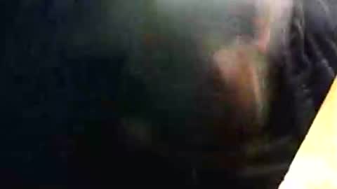 Snapshot of lukestarfckr chatting on 15, 2, 2026 lukestarfckr online show from 15, 2, 2026