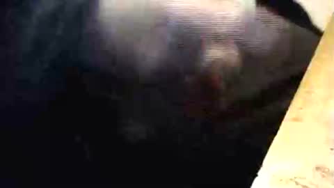 Snapshot of lukestarfckr chatting on 1, 3, 2026 lukestarfckr online show from 1, 3, 2026