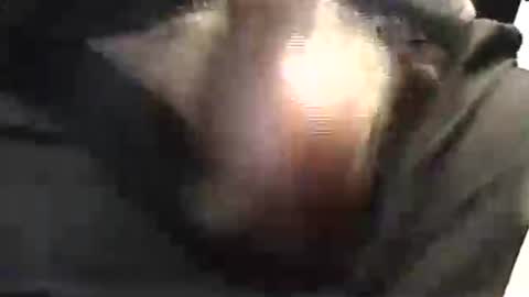 Snapshot of lukestarfckr chatting on 29, 5, 2026 lukestarfckr online show from 29, 5, 2026