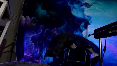 lukewilde online show from 24, 2, 2025