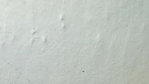 lukin8712 online show from 8, 2, 2026