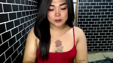 Kitty 3 online show from 5, 12, 2024