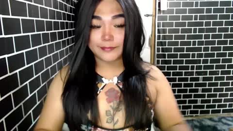 Kitty 3 online show from 9, 12, 2024