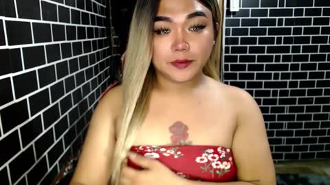 Kitty 3 online show from 28, 12, 2024