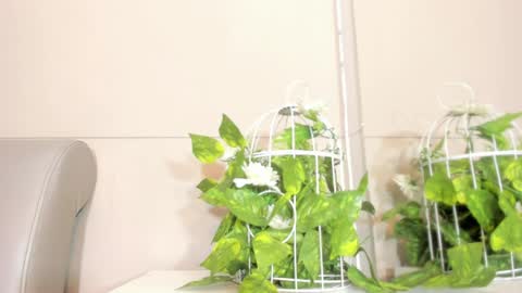 luna_bradley_ online show from 22, 4, 2026