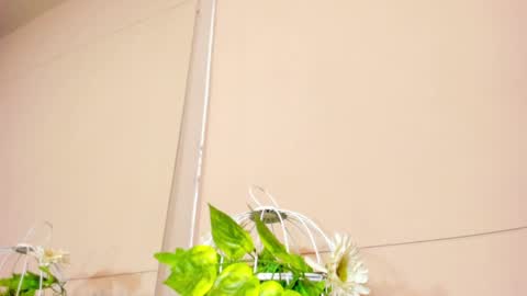 luna_bradley_ online show from 25, 4, 2026