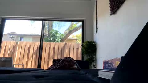 lunaloopzz online show from 11, 3, 2026