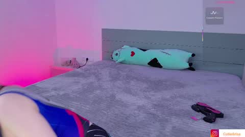 Asami online show from 4, 4, 2026