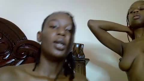 lutino_lovebirds online show from 19, 4, 2026