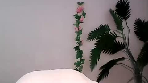 Snapshot of luvu4everxxx chatting on 9, 9, 2025 Bee Bee online show from 9, 9, 2025