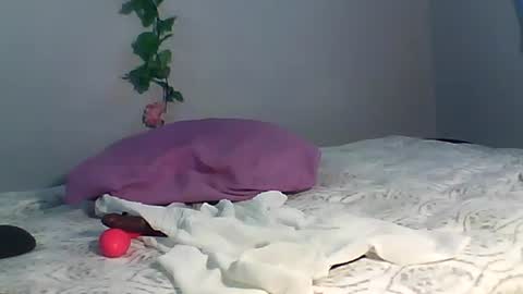 Snapshot of luvu4everxxx chatting on 15, 10, 2025 Bee Bee online show from 15, 10, 2025