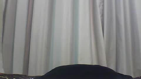 Bee Bee online show from 8, 1, 2026