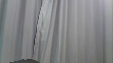 Bee Bee online show from 13, 1, 2026