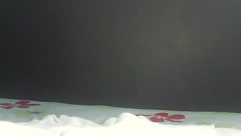 Bee Bee online show from 9, 2, 2026