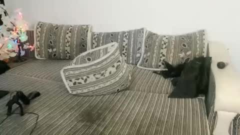 LuxMelys online show from 25, 12, 2024