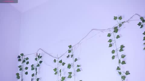 Lyly   online show from 12, 1, 2026