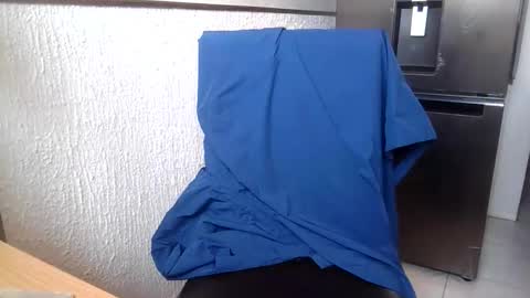 NiceDick online show from 27, 11, 2025