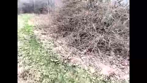 Snapshot of ma747047 chatting on 6, 4, 2026 ma747047 online show from 6, 4, 2026