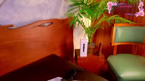 Malu Lopez online show from 11, 6, 2026