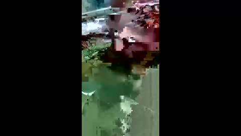 maciasbraulio846 online show from 14, 3, 2026
